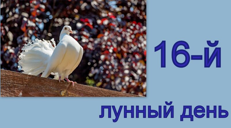 16-й лунный день