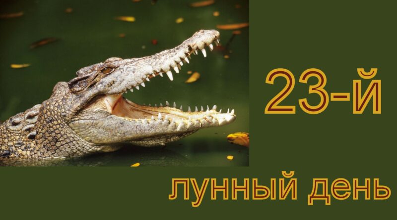 23-й лунный день