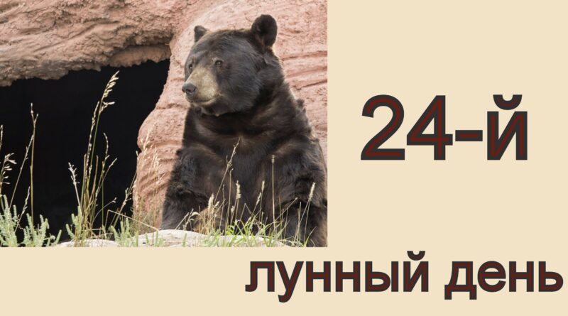 24 лунный день