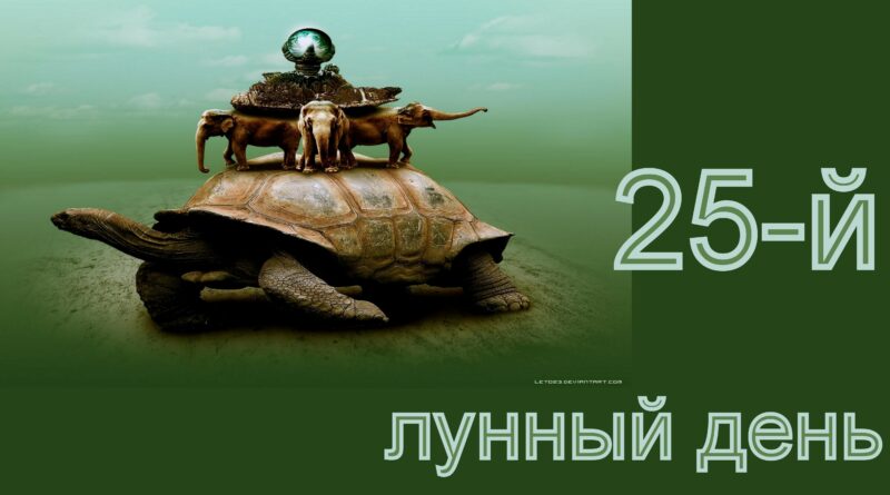 25 лунный день