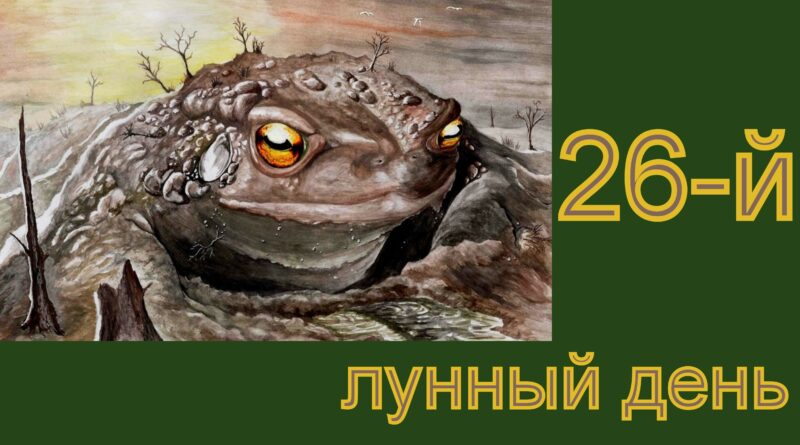 26 лунный день