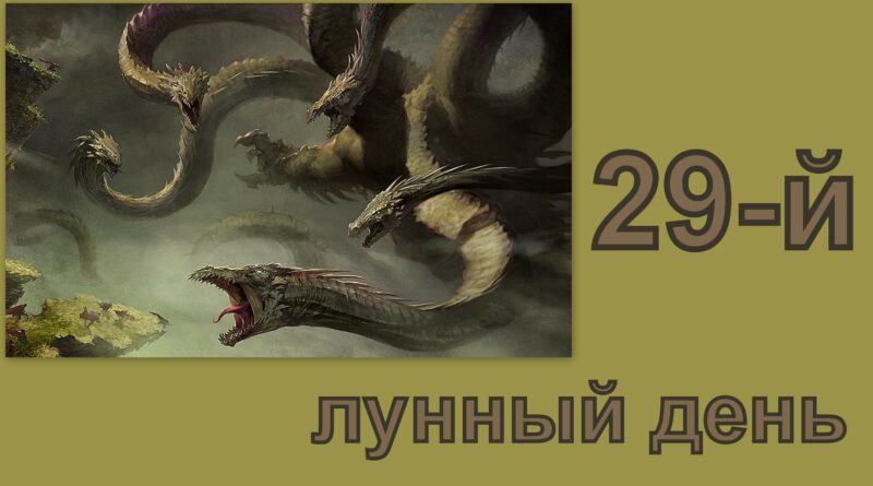 29 лунный день