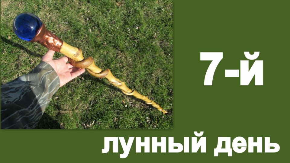 7 лунный день. Седьмой лунный день. 7 Лунный день деньги.