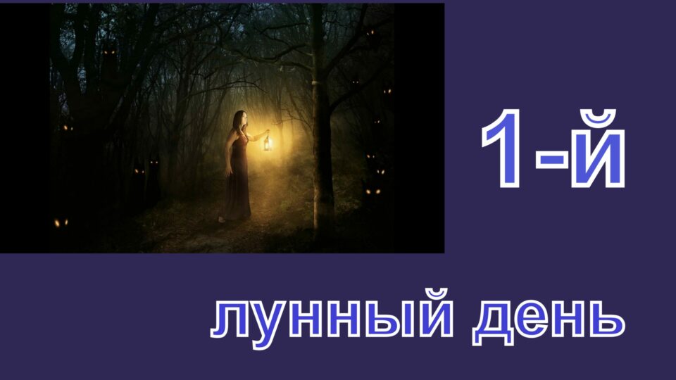 13 лунный день. Полнолуние. Луна дней моих. Луна дней моих. Луна дней моих.