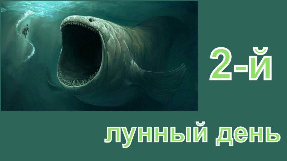 1 2 лунные сутки