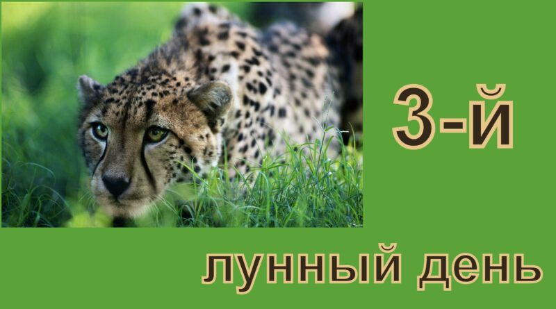 3-й лунный день