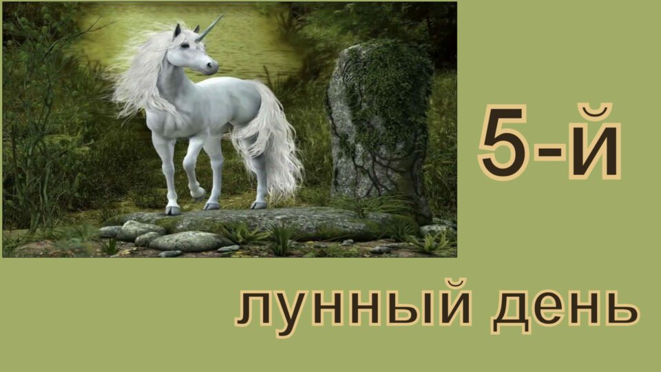 26 лунный день картинки