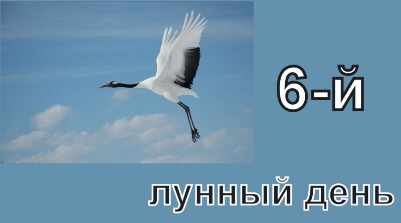 6-й лунный день