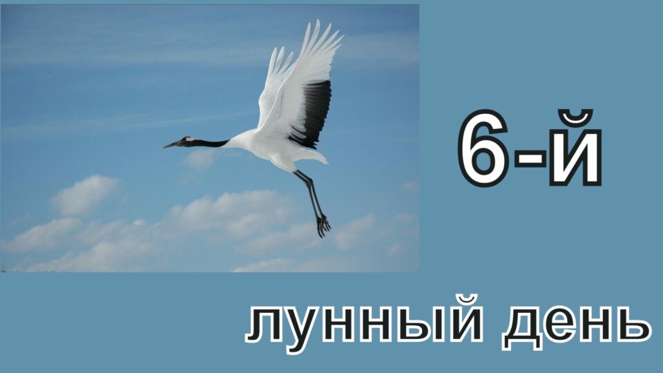 6 лунный день. Символ 6 лунного дня. Шестой лунный день символ. 6 Лунный день картинки.